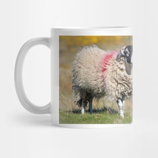 Swaledale Sheep on the Fells Mug